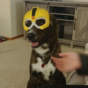 Meet your Posher, Mindy